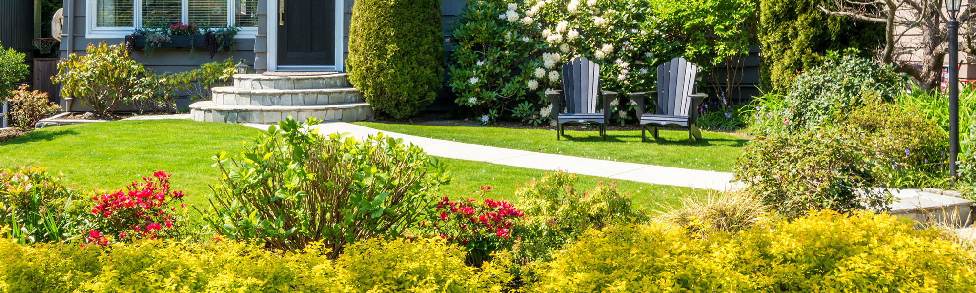 Clean Lawn With Shrubs
